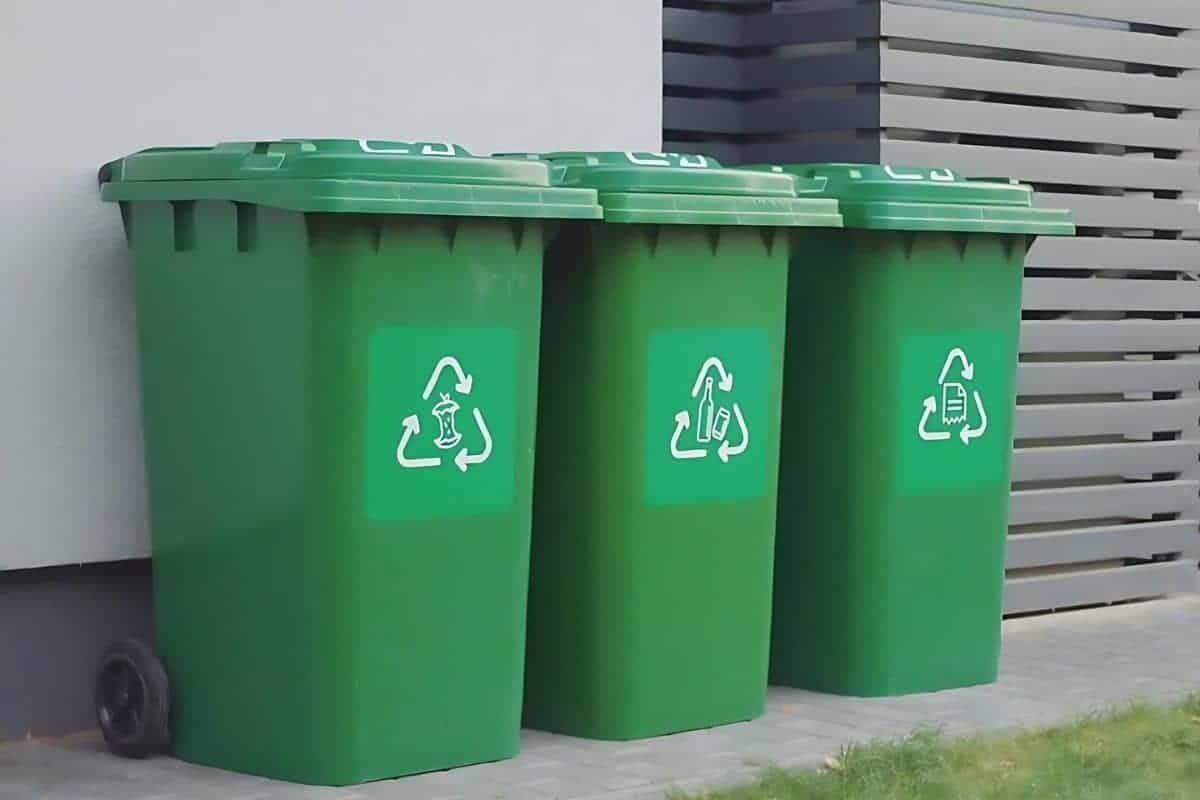 Trash Bin Cleaning